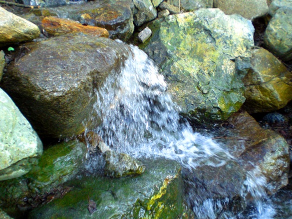 Quellwasser der Nockbergquellen im Nationalpark Nockberge.