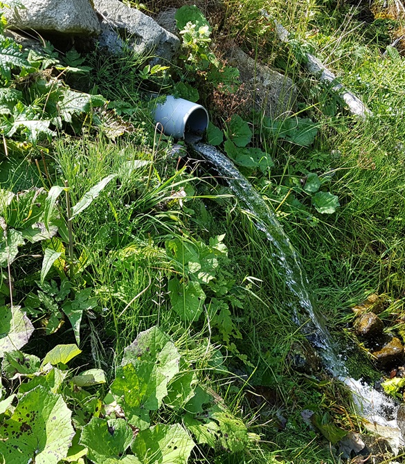 BIOS WATER - das Quellwasser der Kärntner Nockberge